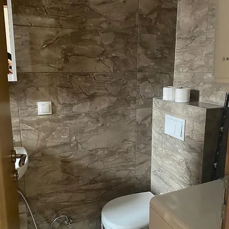 Apartman Green Vlasic *